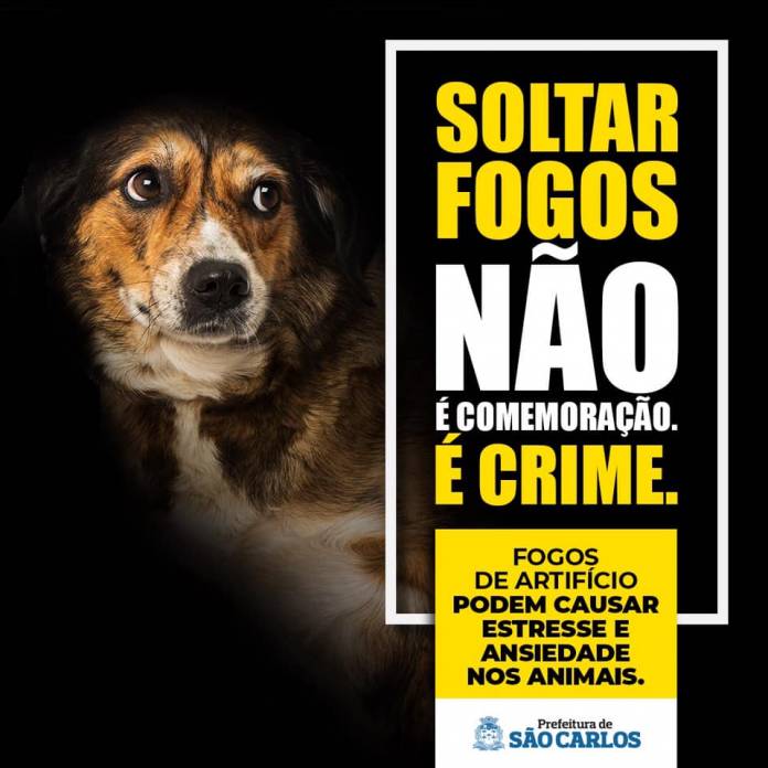 77351411_2438461849616146_702294987609473024_n