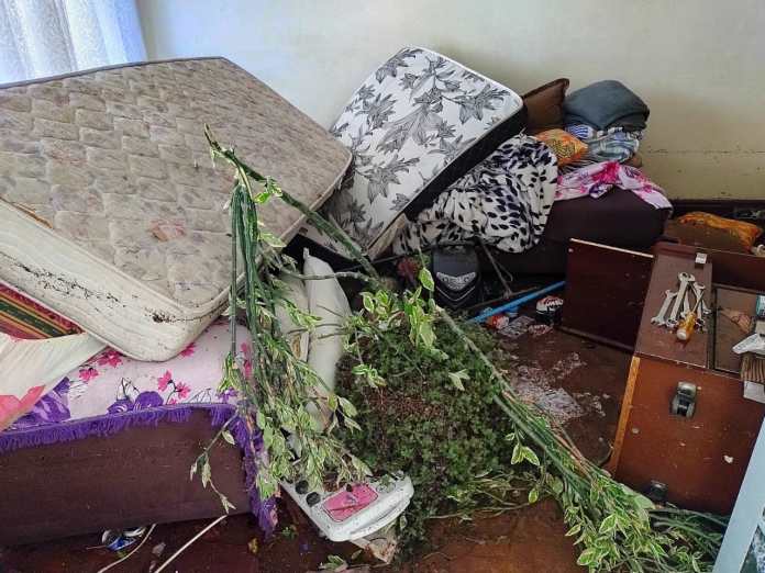 45449c34-a174-4e19-ba7d-74d336eec361