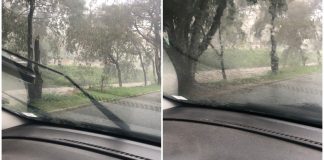 Córrego do Gregório quase transborda