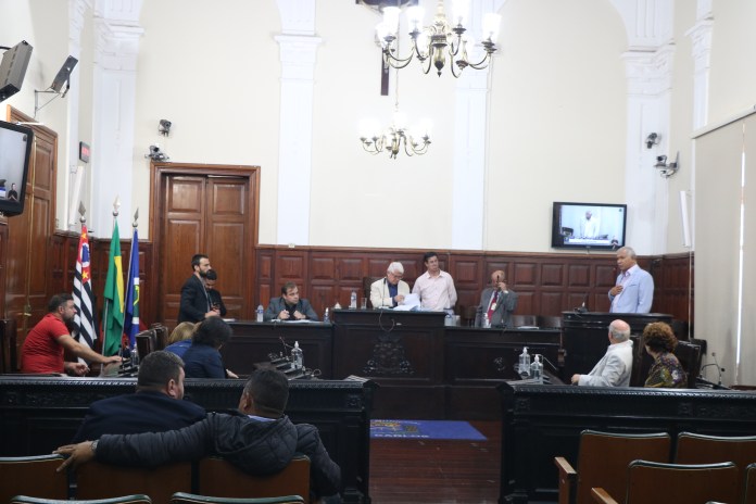 plenario