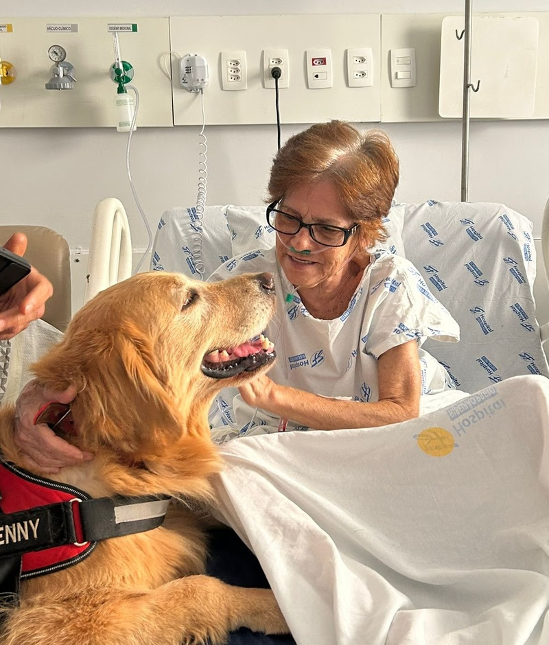 Amor: terapia com cães faz bem ao paciente