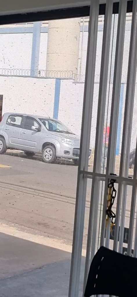 Enxame de abelhas: loja fechou a porta