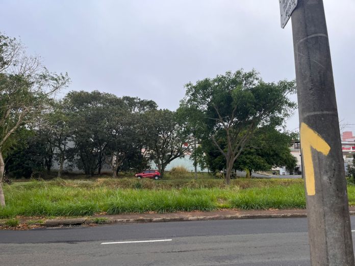 Vento frio em São Carlos Vento frio em São Carlos