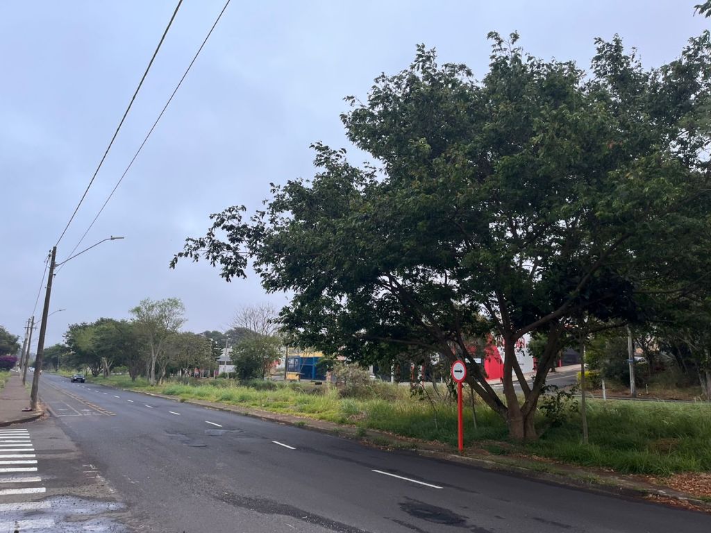 Vento frio e tempo fechado