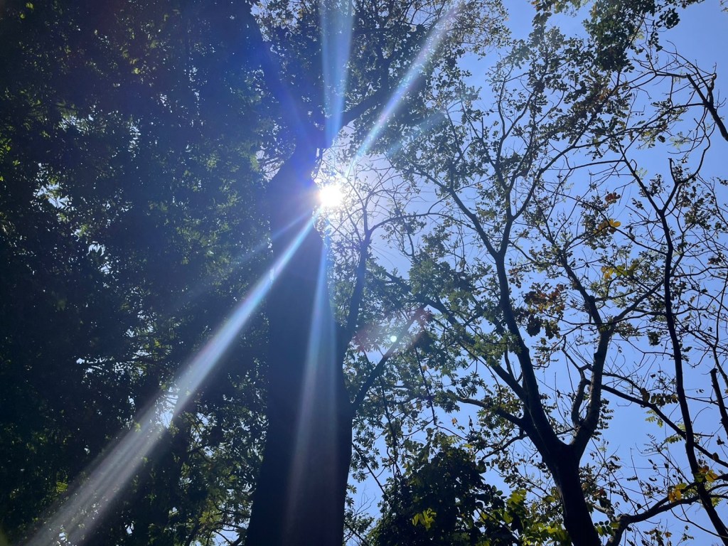 Primavera ainda quente em São Carlos