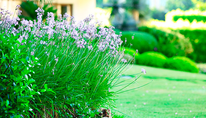 Curso de jardinagem tem inscrições abertas