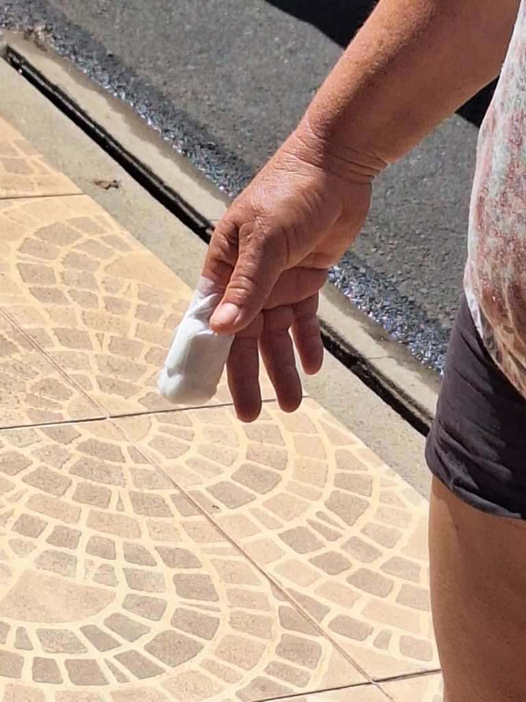 Cachorro atacou pessoas