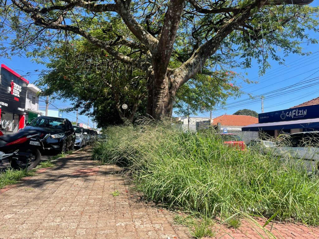 Sujeira na Rua Larga