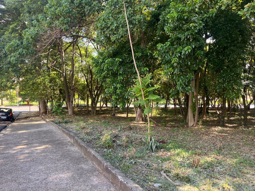 Área onde existe a presença do caramujo africano