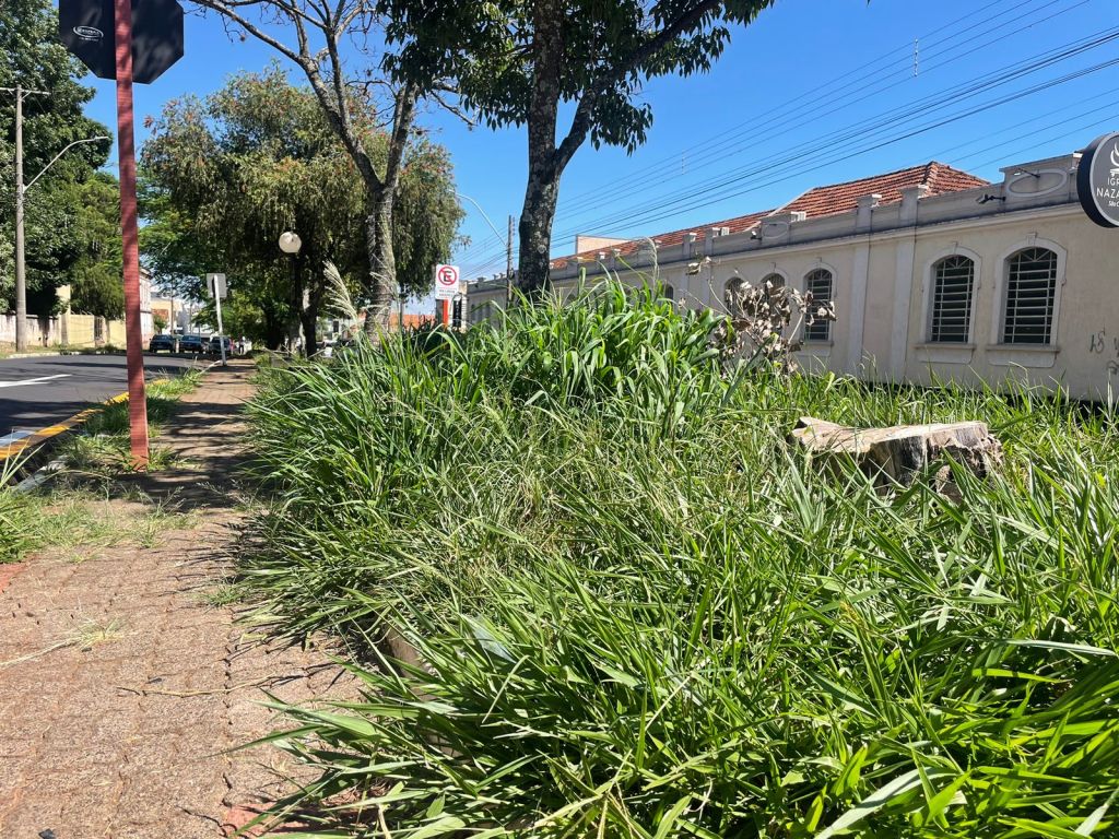 Sujeira na Rua Larga