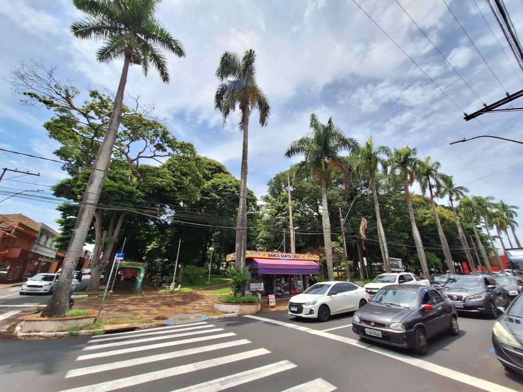 Praça Santa Cruz está mal cuidada