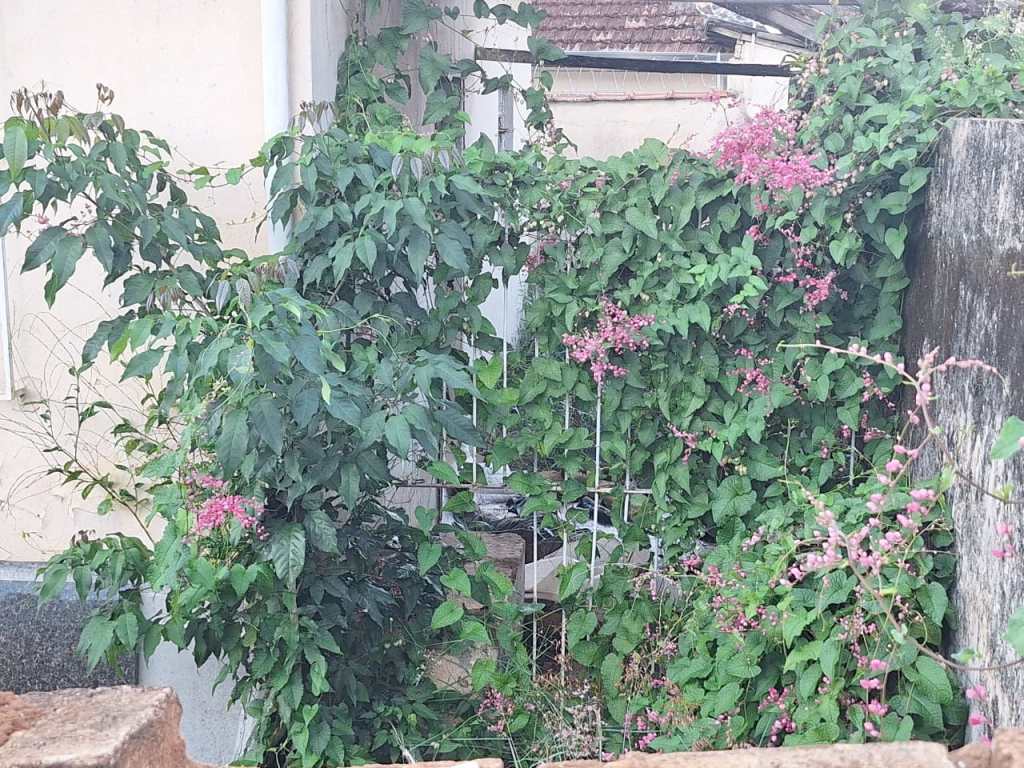 Corpo foi localizado