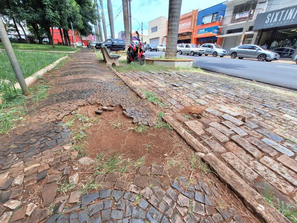 Praça Santa Cruz está mal cuidada