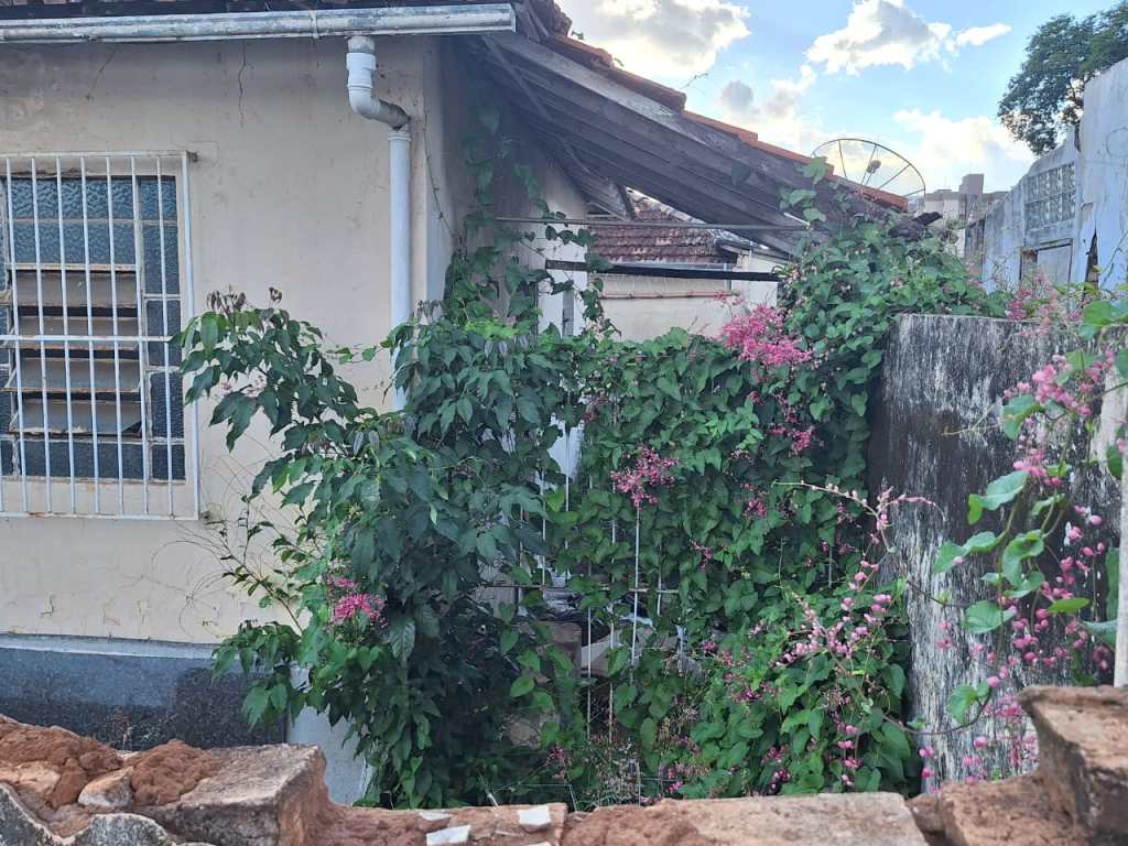 Corpo foi localizado