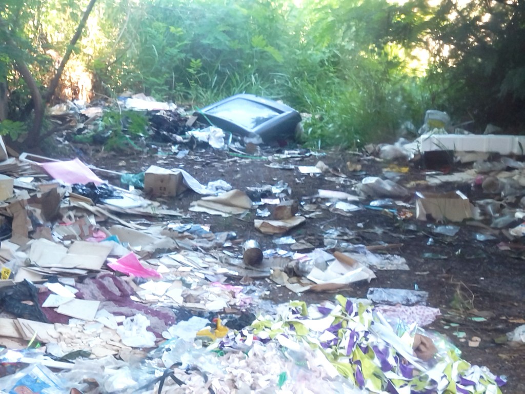 Moradores pedem limpeza de terreno