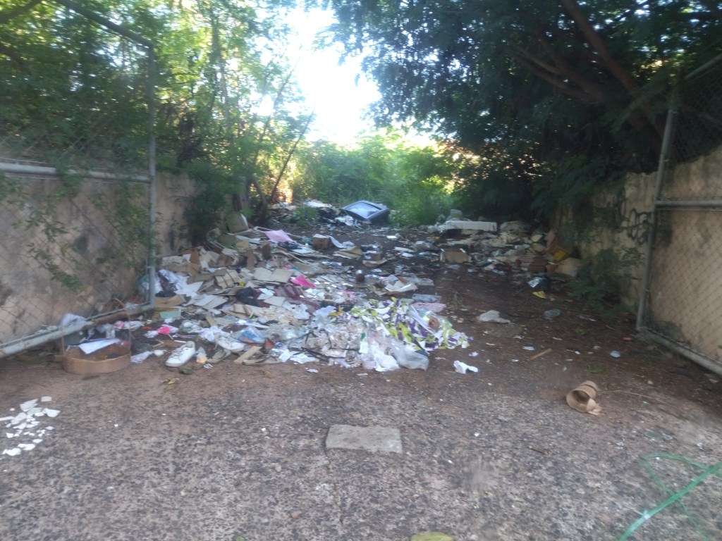 Moradores pedem limpeza de terreno