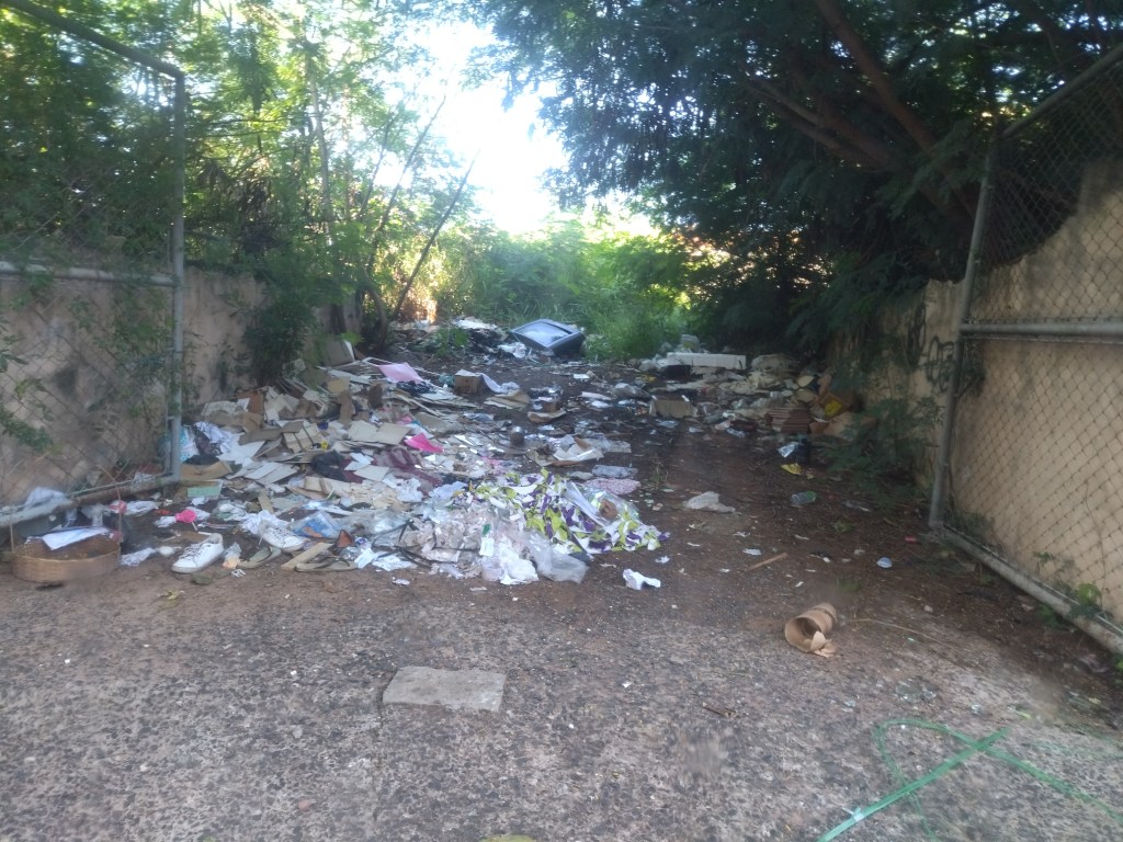 Moradores pedem limpeza de terreno