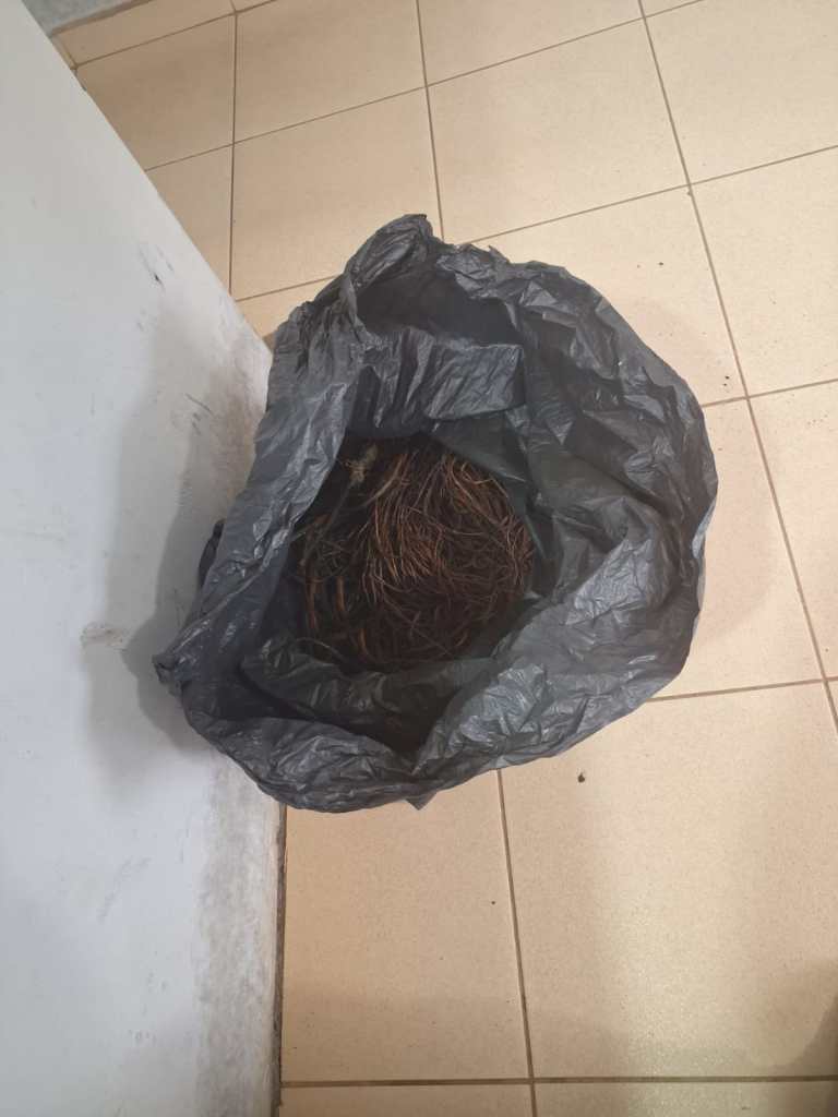 Fios de cobre estavam sendo queimados