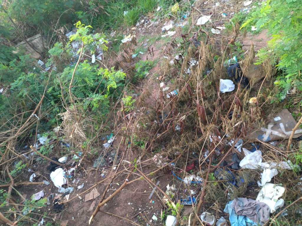 Moradores pedem limpeza de terreno
