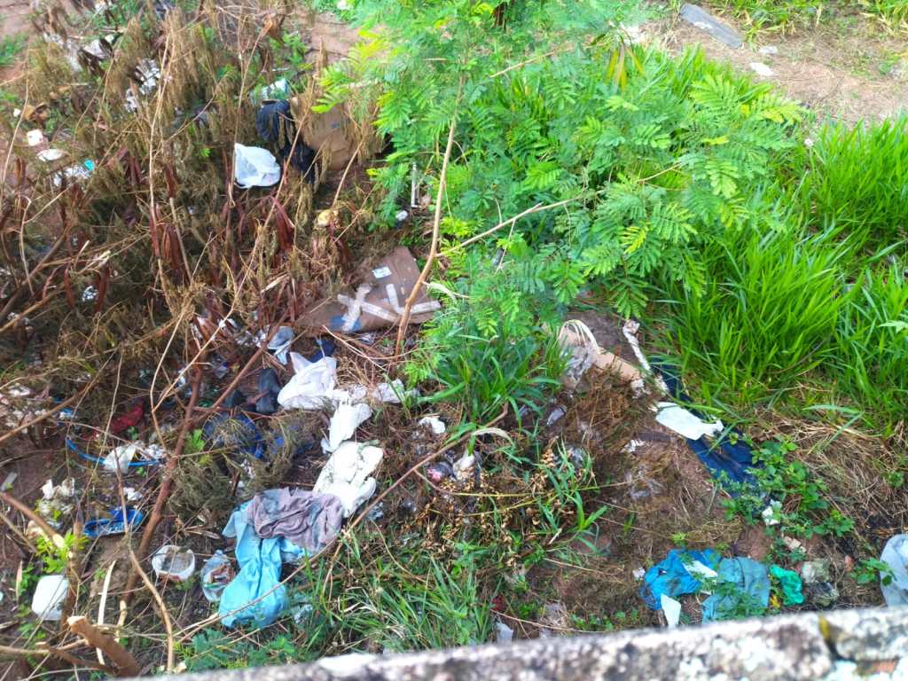 Moradores pedem limpeza de terreno