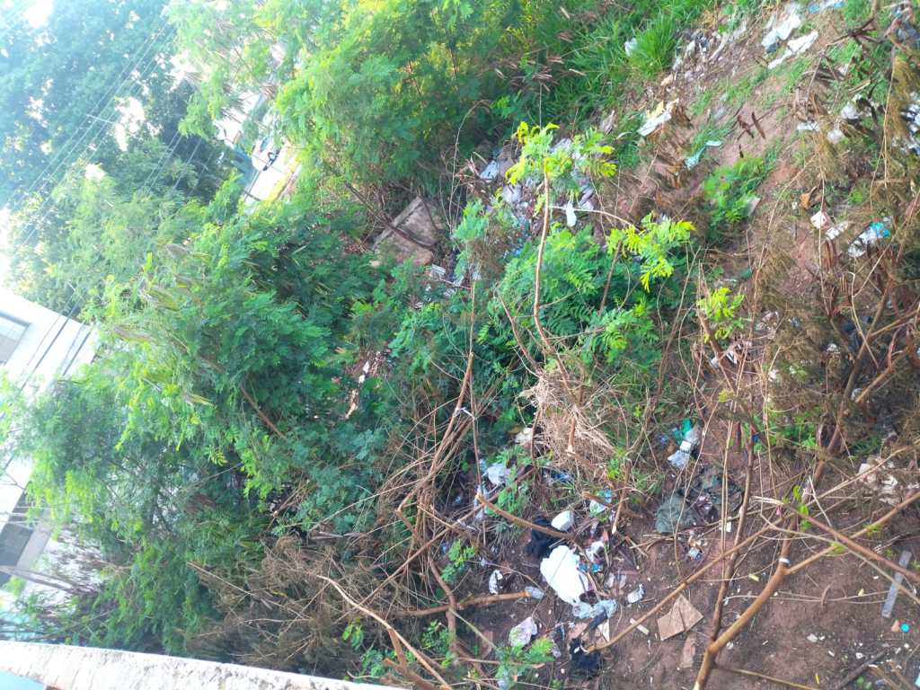 Moradores pedem limpeza de terreno