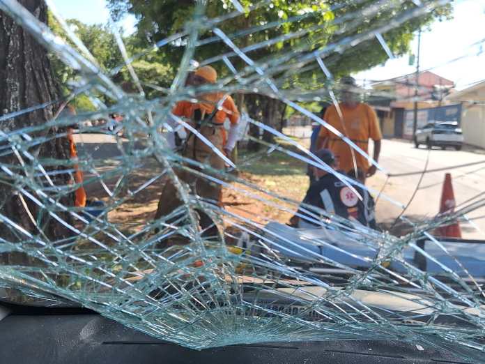 Trabalhadores foram atendidos pelo Samu Trabalhadores foram atendidos pelo Samu
