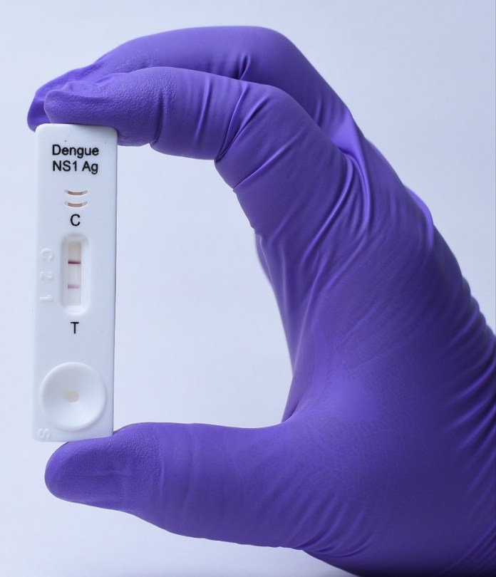 Limpeza contra a Dengue Limpeza contra a Dengue e teste rápido