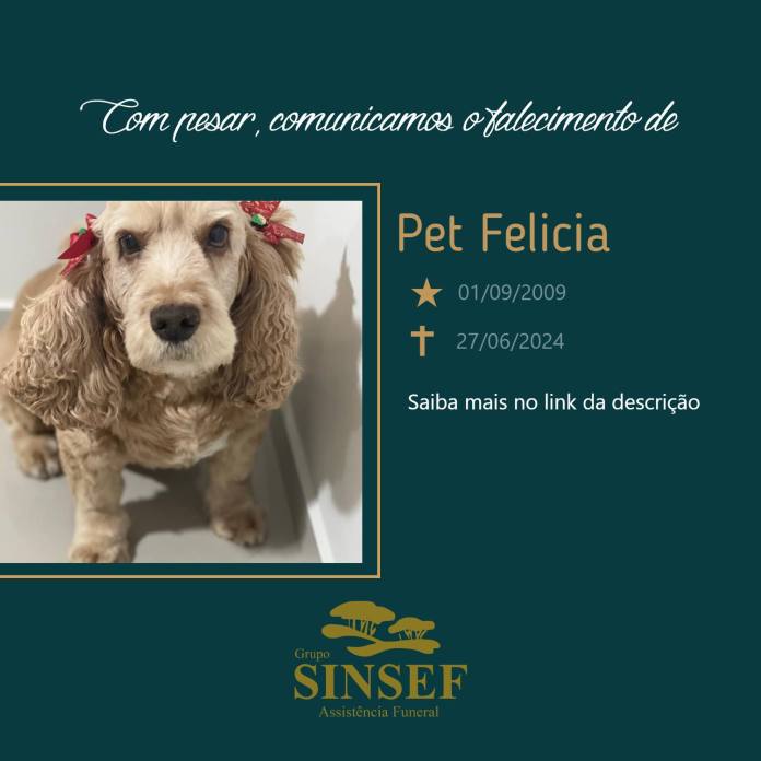 449135693_979623704170477_7963066655331398664_n