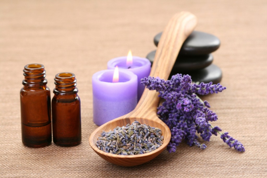 Óleos essenciais como o de lavanda podem repelir pernilongos