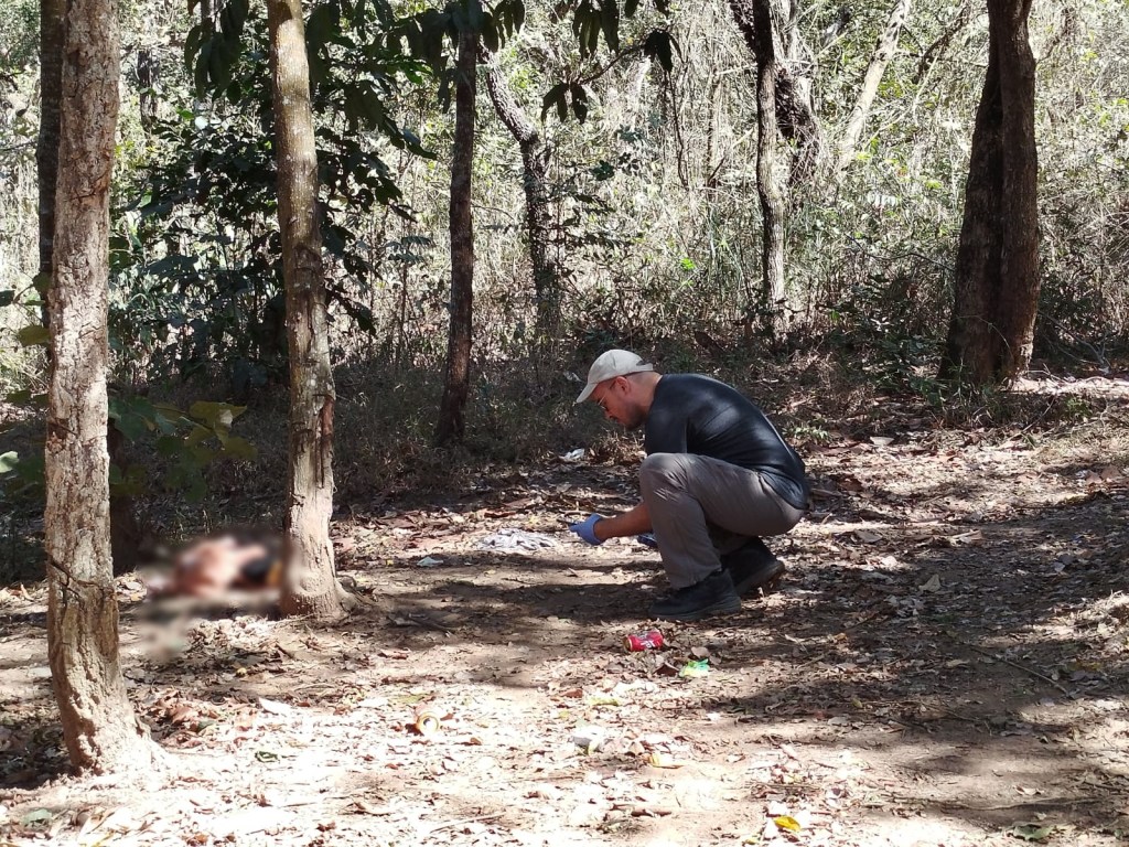 Corpo decapitado no 29