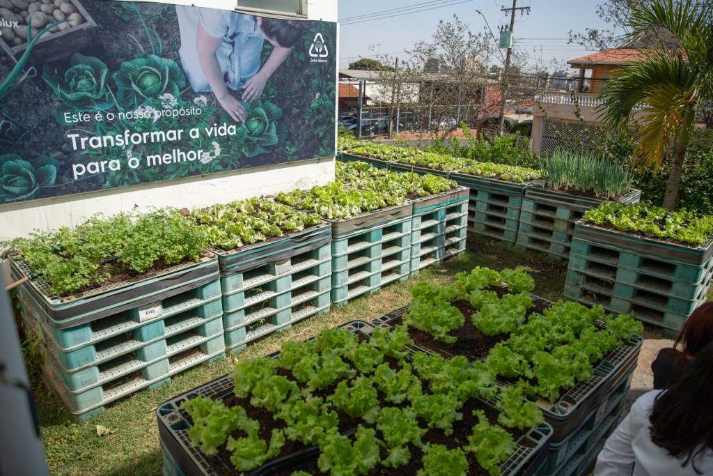 Com investimento de R$ 520 milhões, unidade fabril da Electrolux de São Carlos é a mais moderna do grupo para segmento de fogões e fornos domésticos no mundo