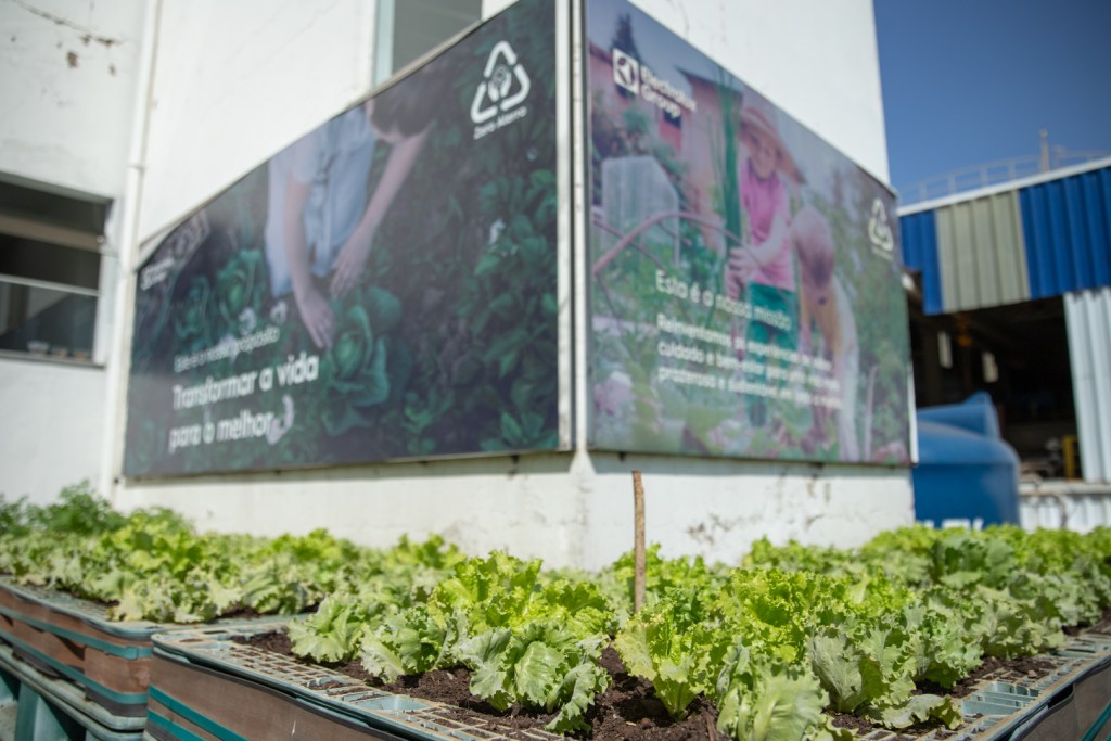 Com investimento de R$ 520 milhões, unidade fabril da Electrolux de São Carlos é a mais moderna do grupo para segmento de fogões e fornos domésticos no mundo