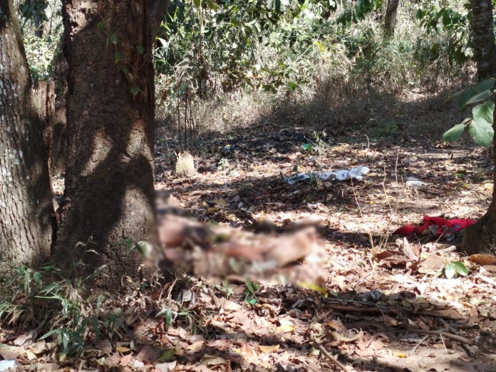 Corpo decapitado no 29 Corpo decapitado no 29