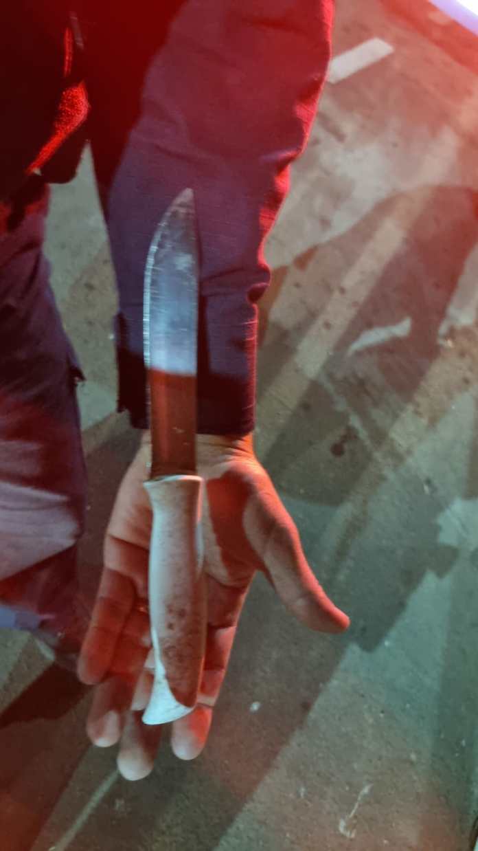 Guarda Municipal fez operação Guarda Municipal fez operação