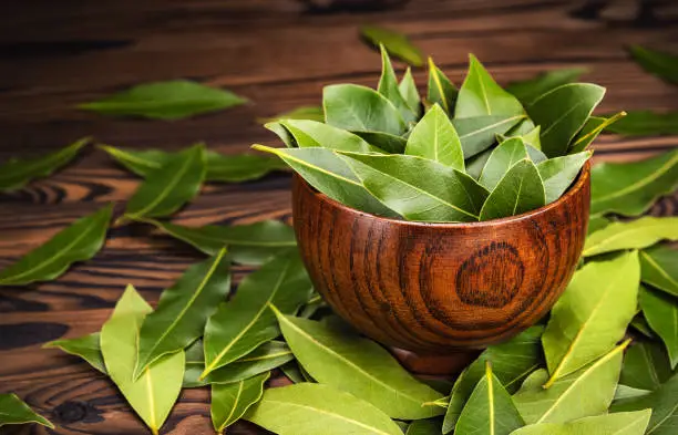 receitas com Louro e seus benefícios (3) receitas com Louro e seus benefícios