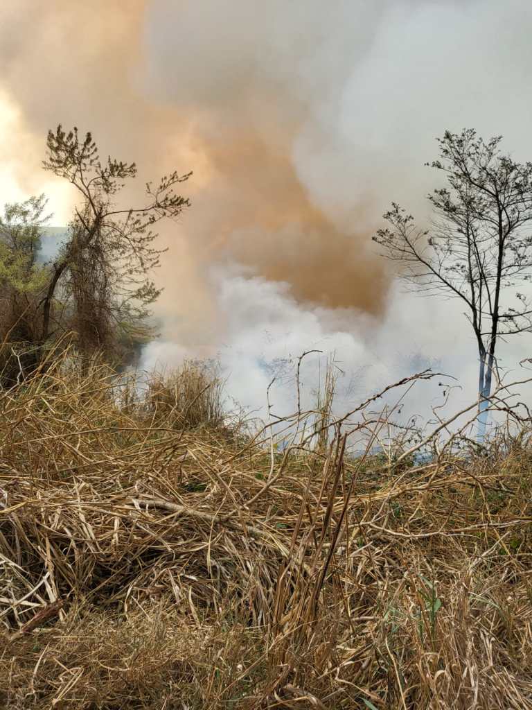 Incêndio na região do Capão Preto
