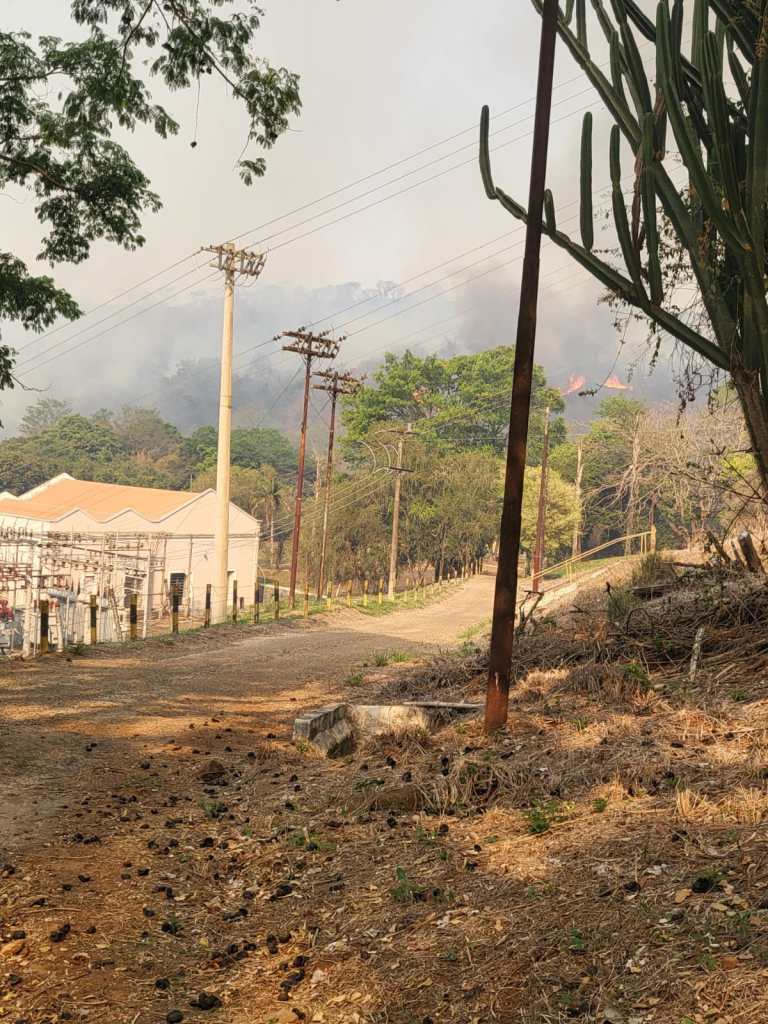 Incêndio na região do Capão Preto