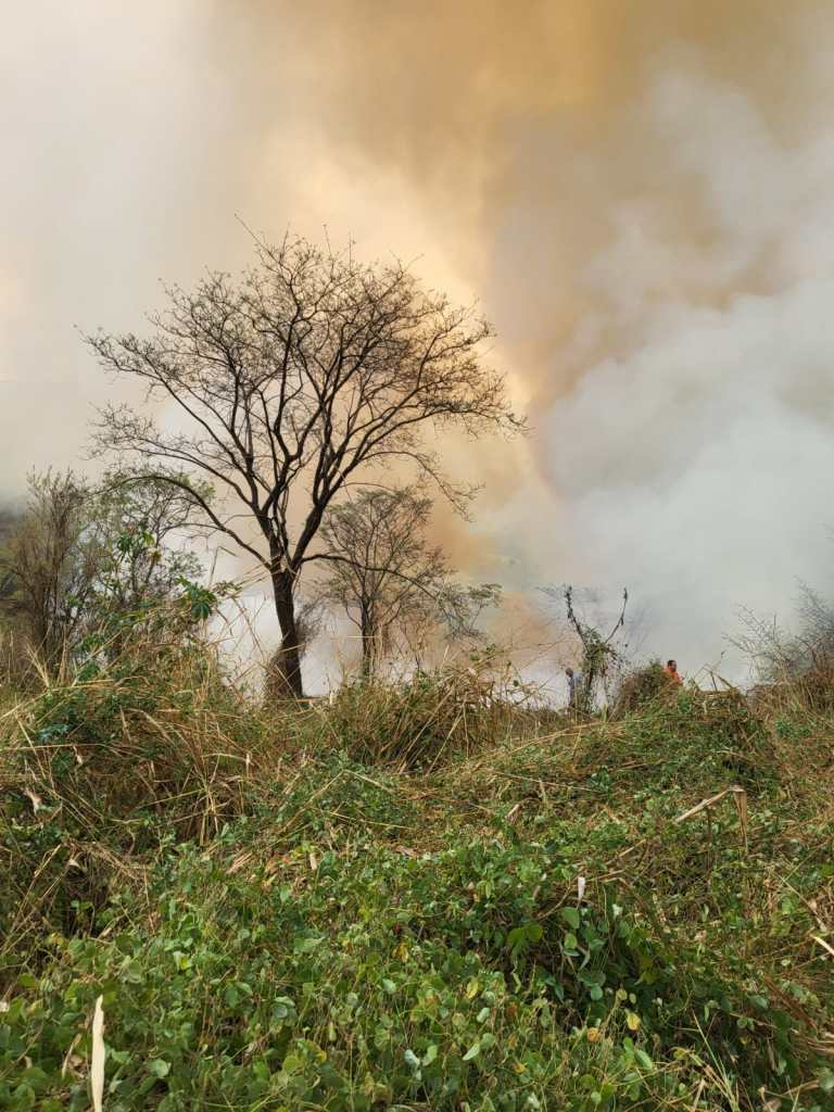 Incêndio na região do Capão Preto