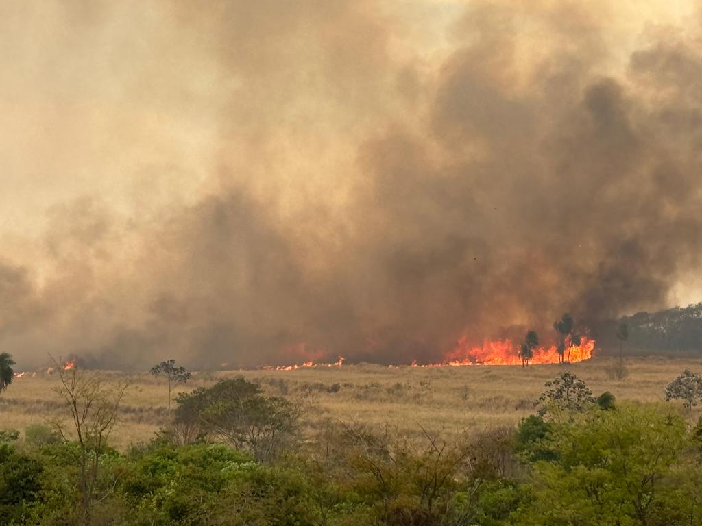 Incêndios devastadores