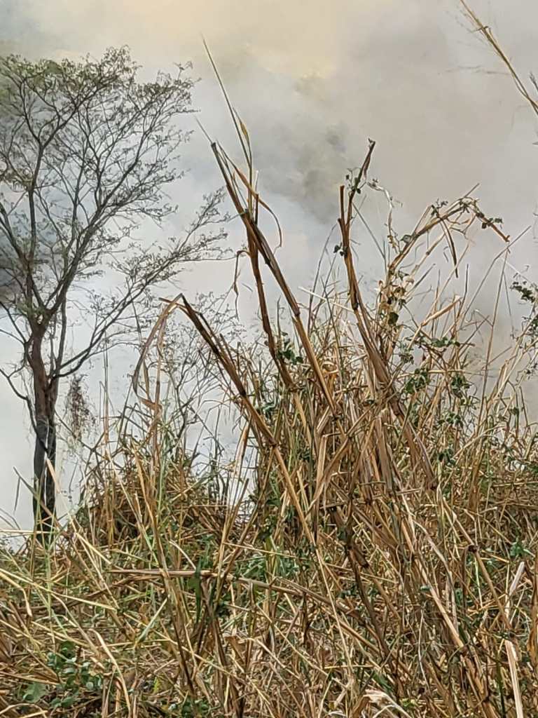 Incêndio na região do Capão Preto