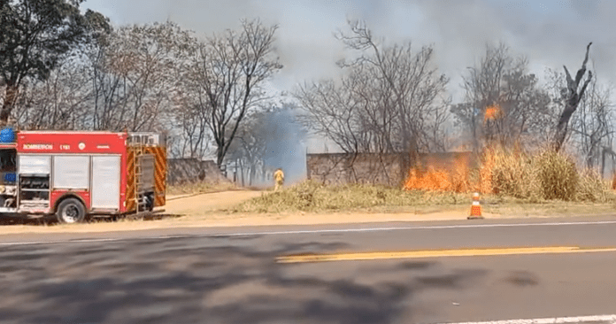 Incêndio na SP 215 Incêndio na SP 215