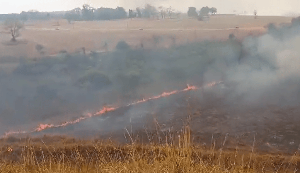 Incêndio devastador