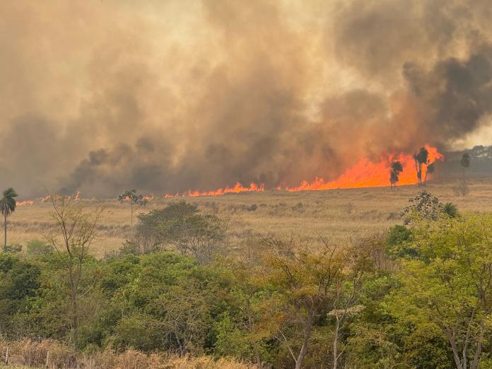 Incêndios devastadores Incêndios devastadores