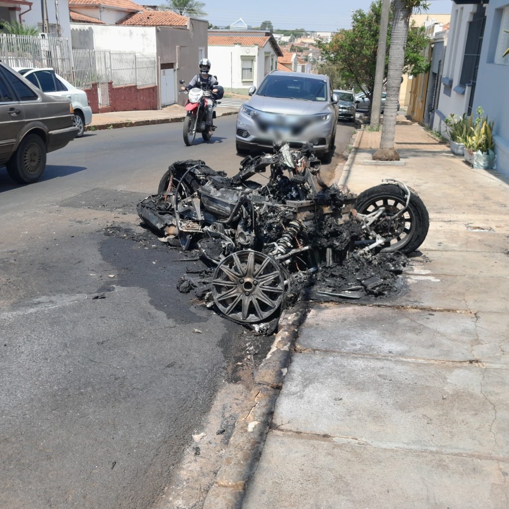 Cachorro foi resgatado|