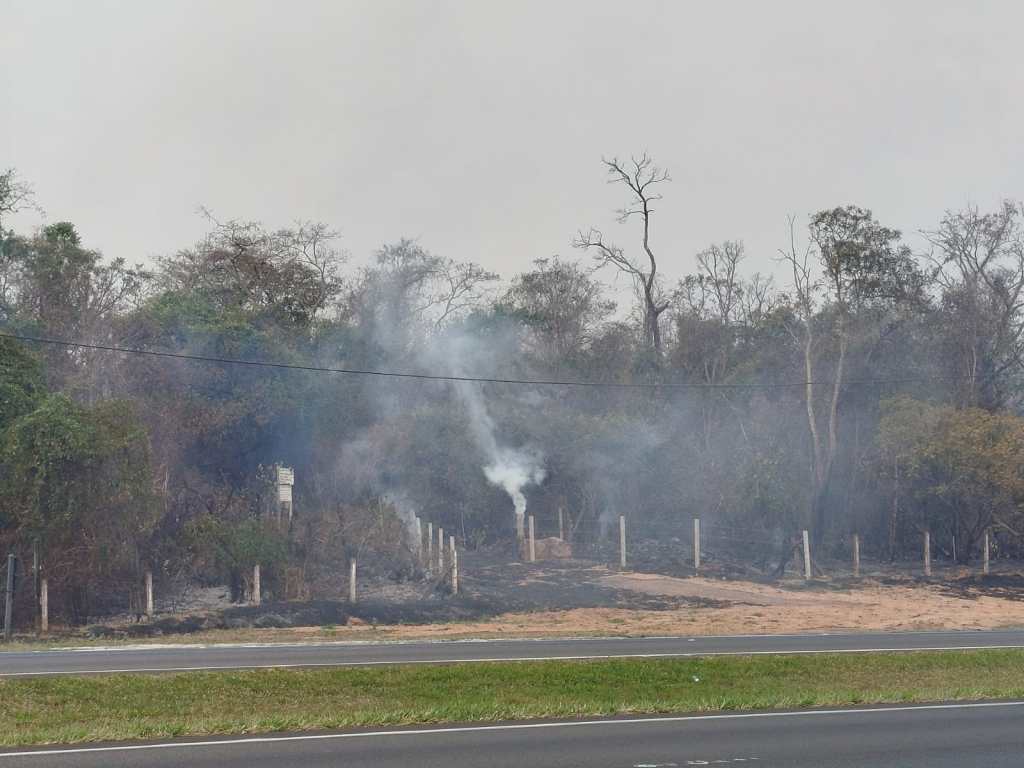 Incêndios na WL