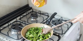 Benefícios da ora-pro-nóbis e 2 receitas low carb de bônus receitas ora-pro-nóbis