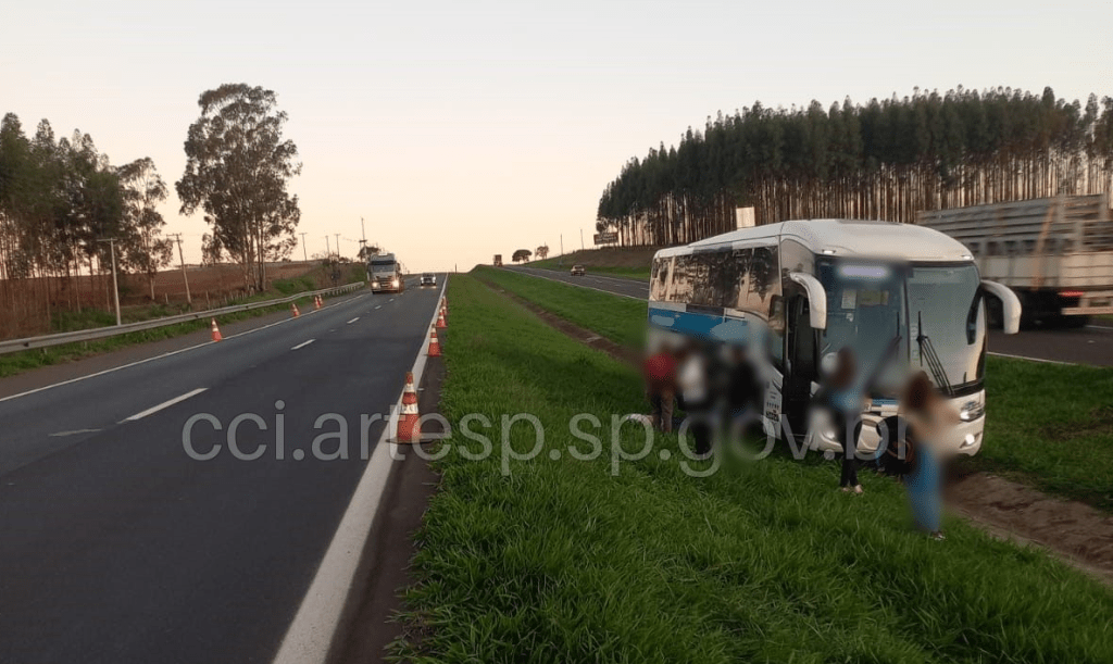 Ônibus saiu da pista