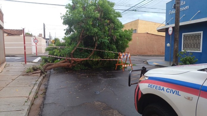 4d4e33cc-466f-4864-b07f-98fc4a850094-1