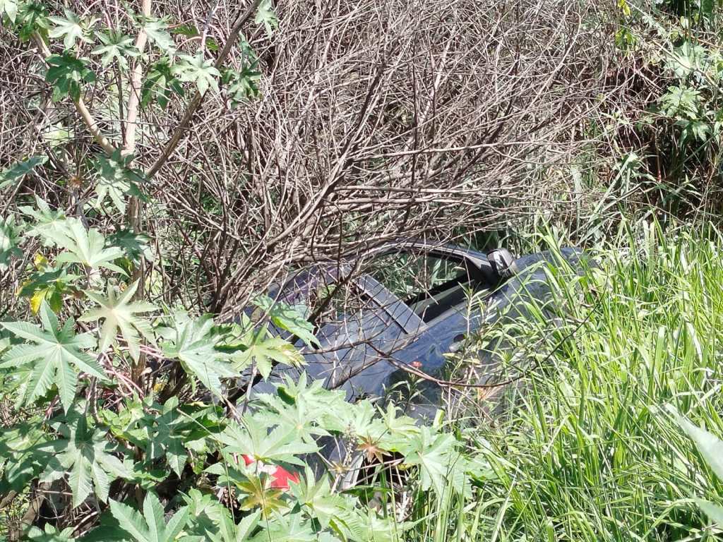 Automóvel despencou