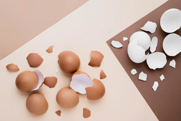 Reaproveitar cascas de ovo - Foto by Freepik